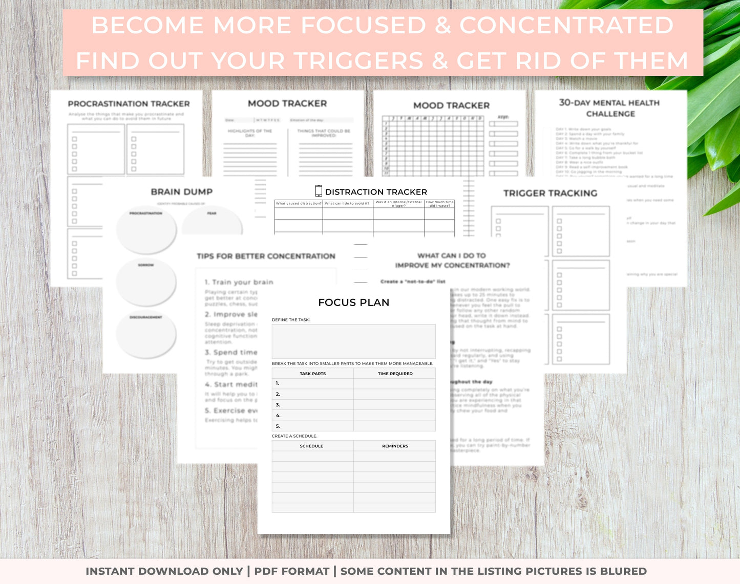 Planner pages that help people become more focused and concentrated